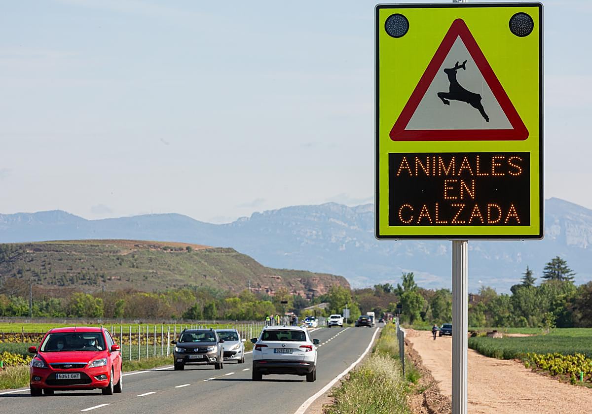 Dispositivo especial instalado para evitar accidentes con la fauna silvestre, en la LR-113,  entre Mahave y Baños de Río Tobía
