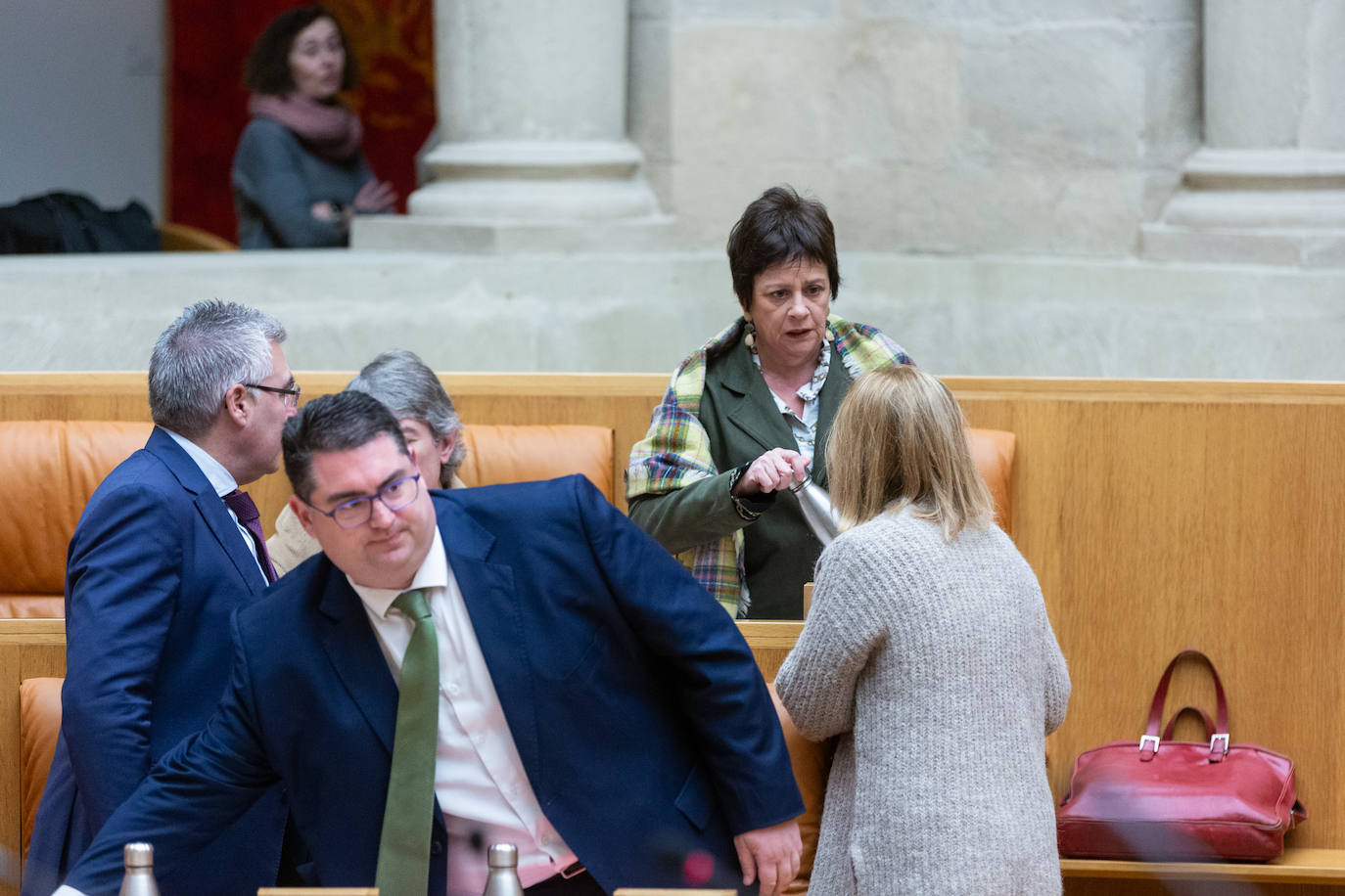 Las imágenes del Pleno del Parlamento de La Rioja