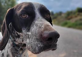 Torla merece una vida mejor