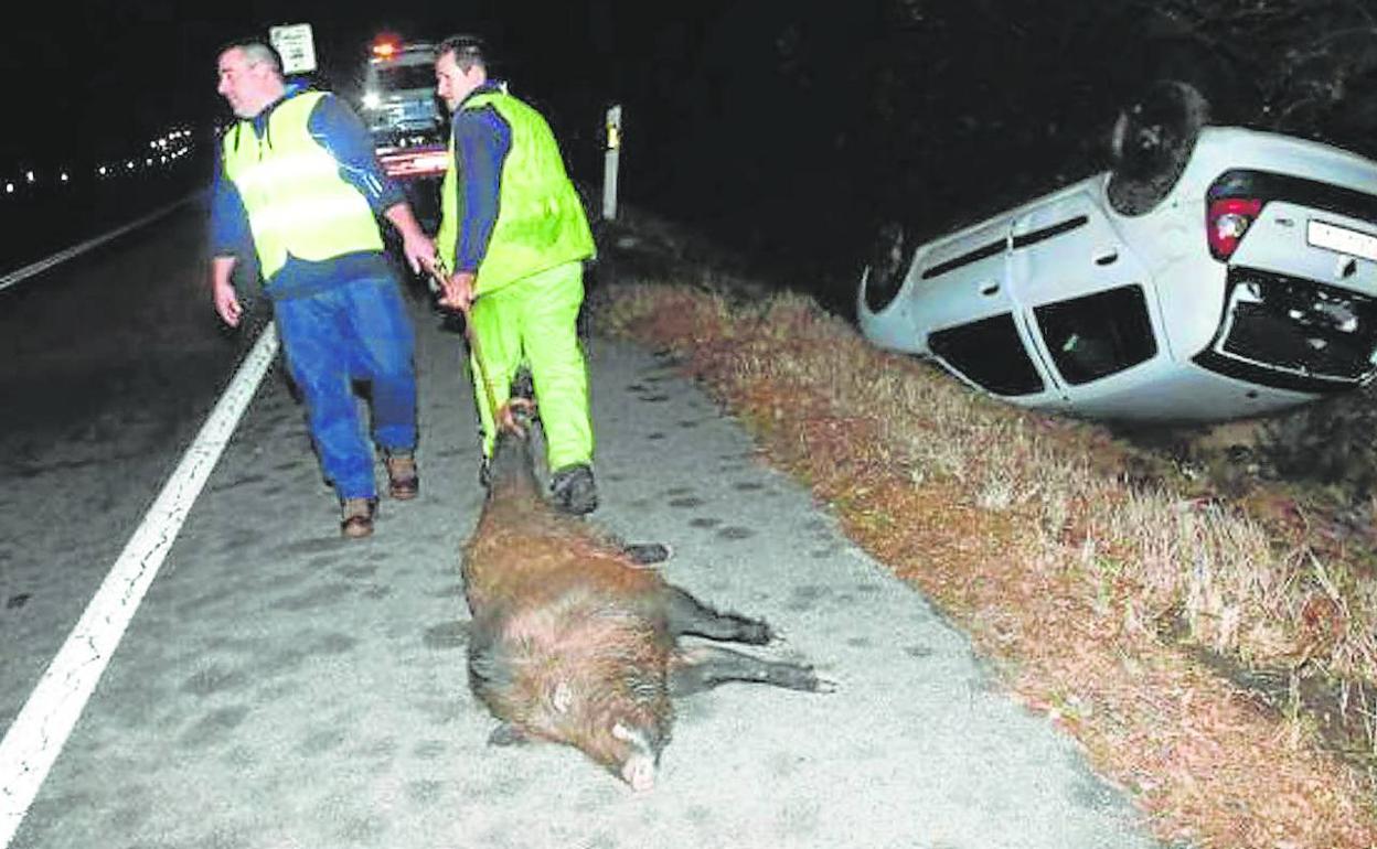 Un hombre arrastra un jabalí atropellado, tras causar el vuelco de un coche en una carretera de Ayora, Valencia.