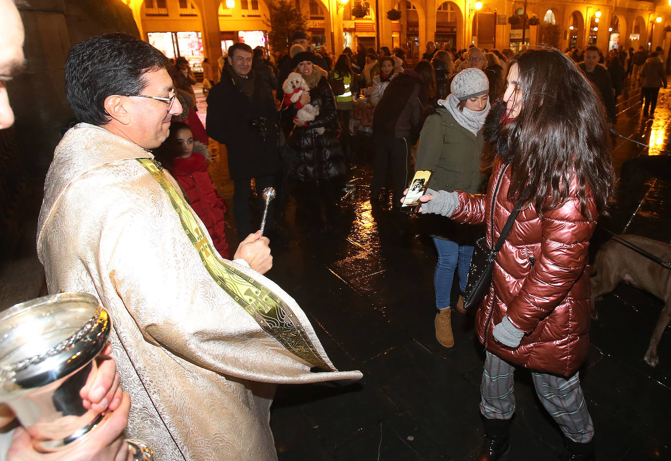 Bendición de animales en Logroño.