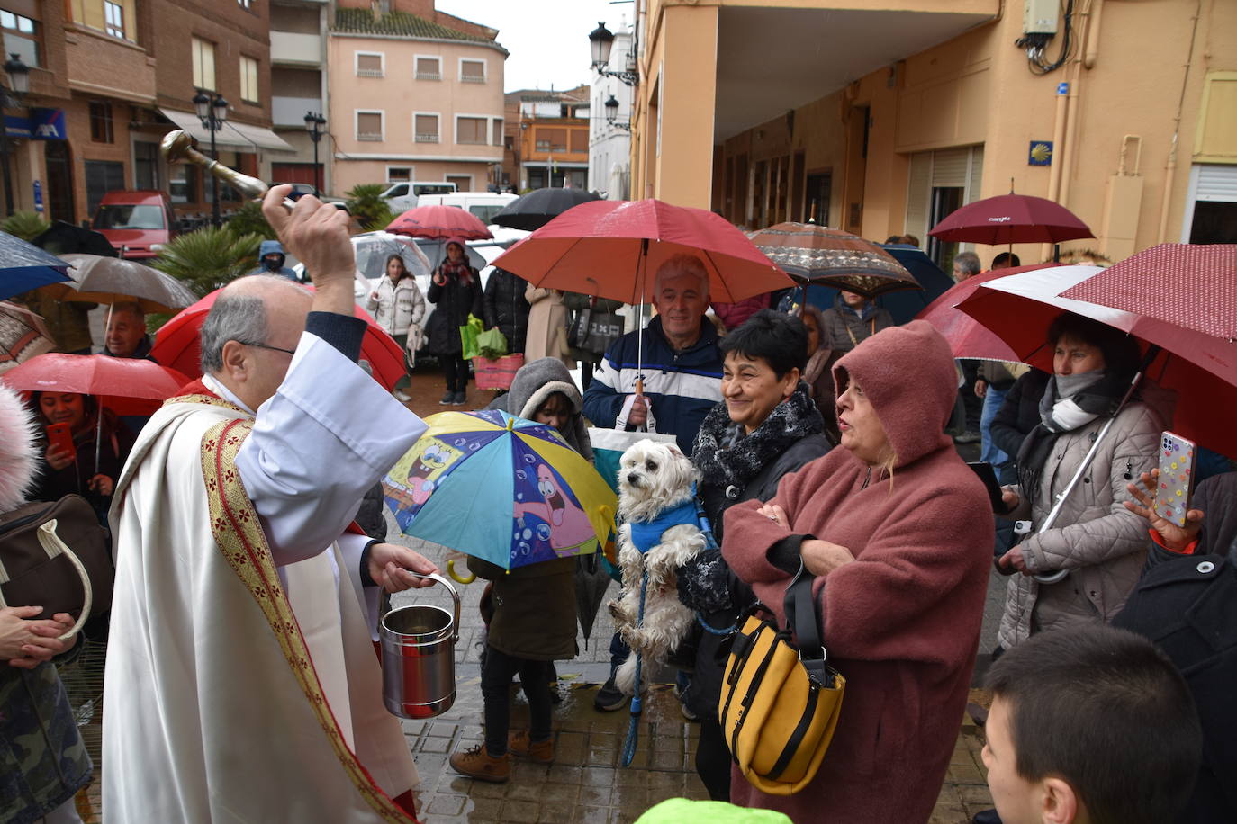 Procesión y bendición de San Antón en Rincón de Soto.