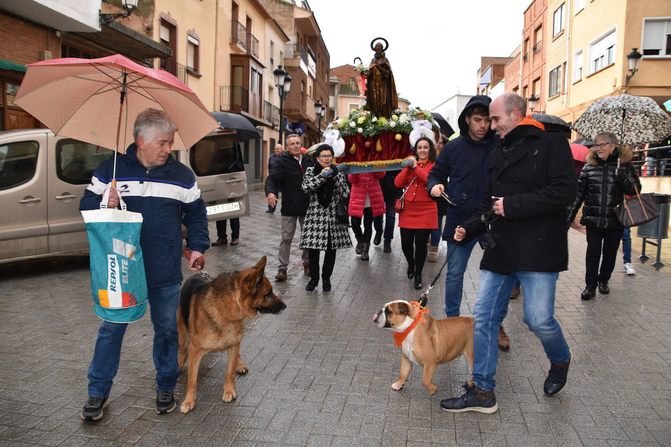Procesión y bendición de San Antón en Rincón de Soto.