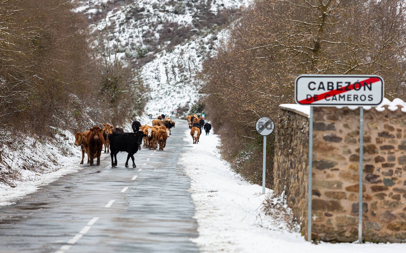 Fotos: las primeras nieves tiñen parte de La Rioja de blanco