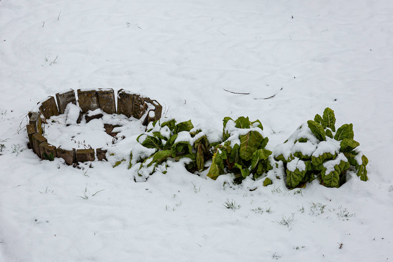 Fotos: las primeras nieves tiñen parte de La Rioja de blanco