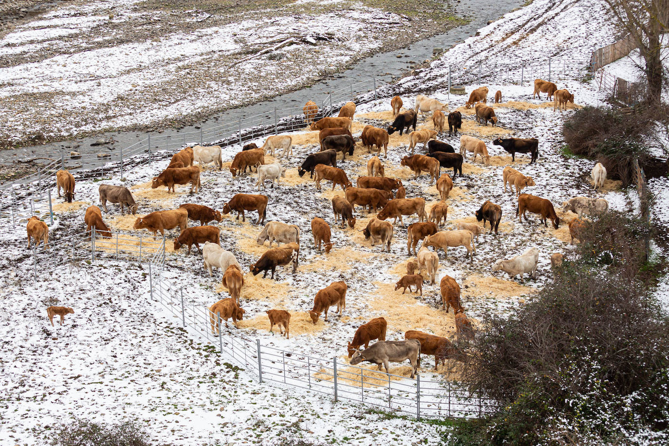 Fotos: las primeras nieves tiñen parte de La Rioja de blanco