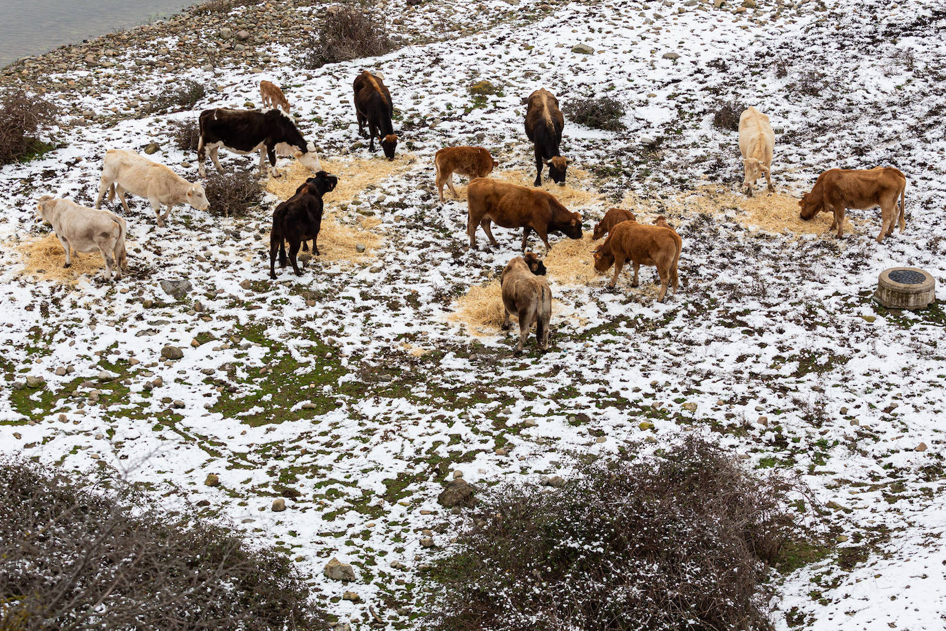 Fotos: las primeras nieves tiñen parte de La Rioja de blanco