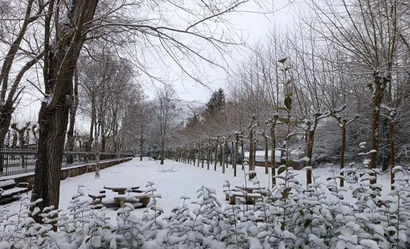 Fotos: La nieve y el hielo llegan a La Rioja