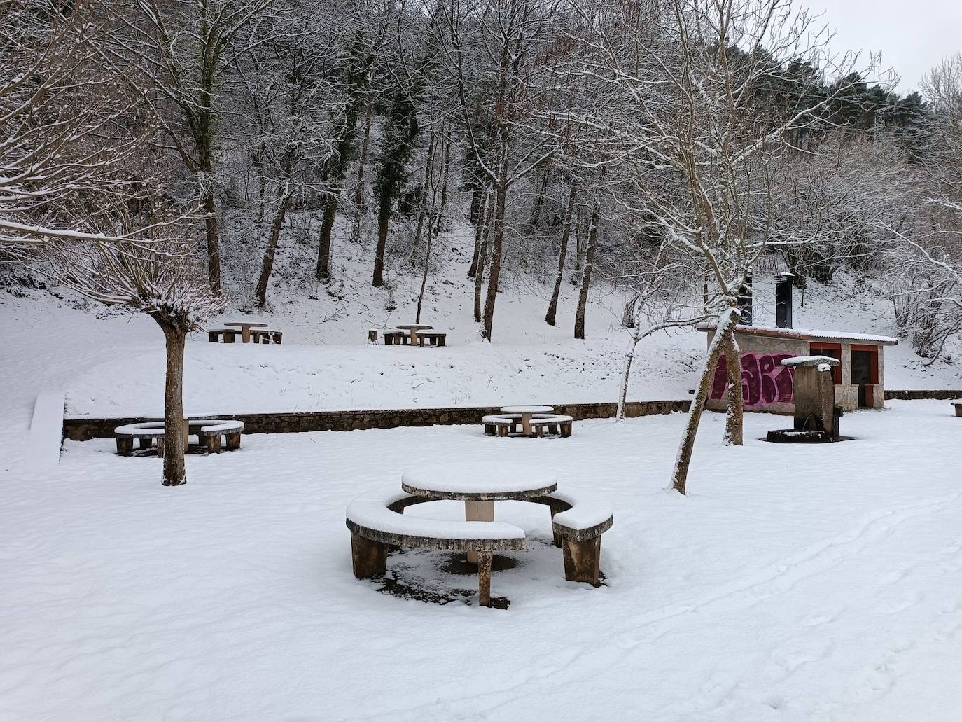 Fotos: La nieve y el hielo llegan a La Rioja