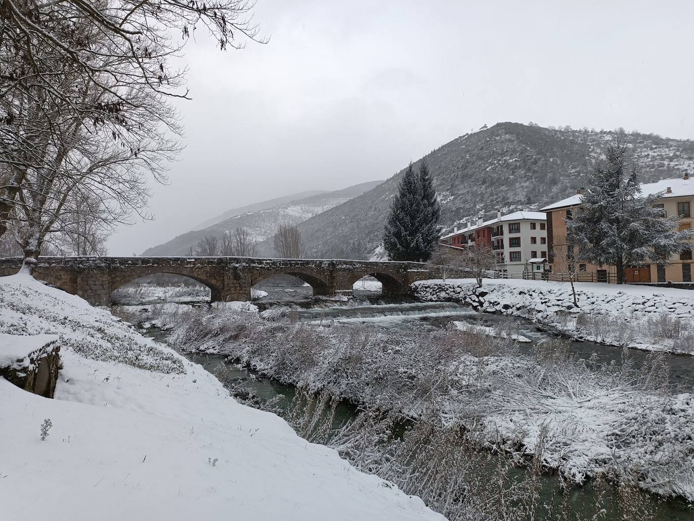 Fotos: La nieve y el hielo llegan a La Rioja