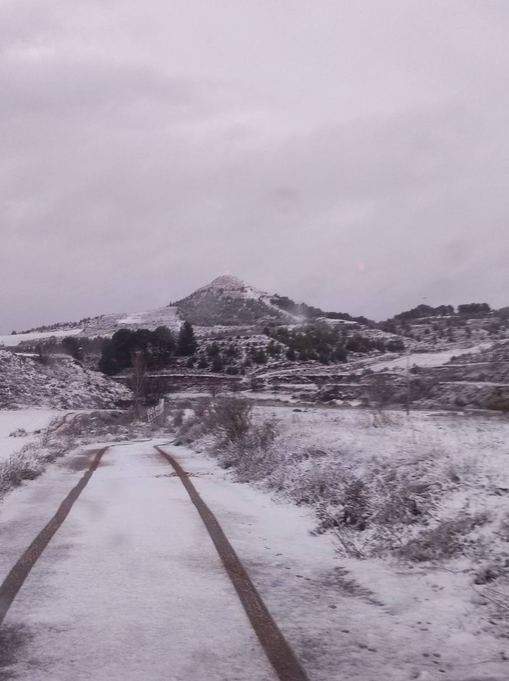 Fotos: La nieve y el hielo llegan a La Rioja