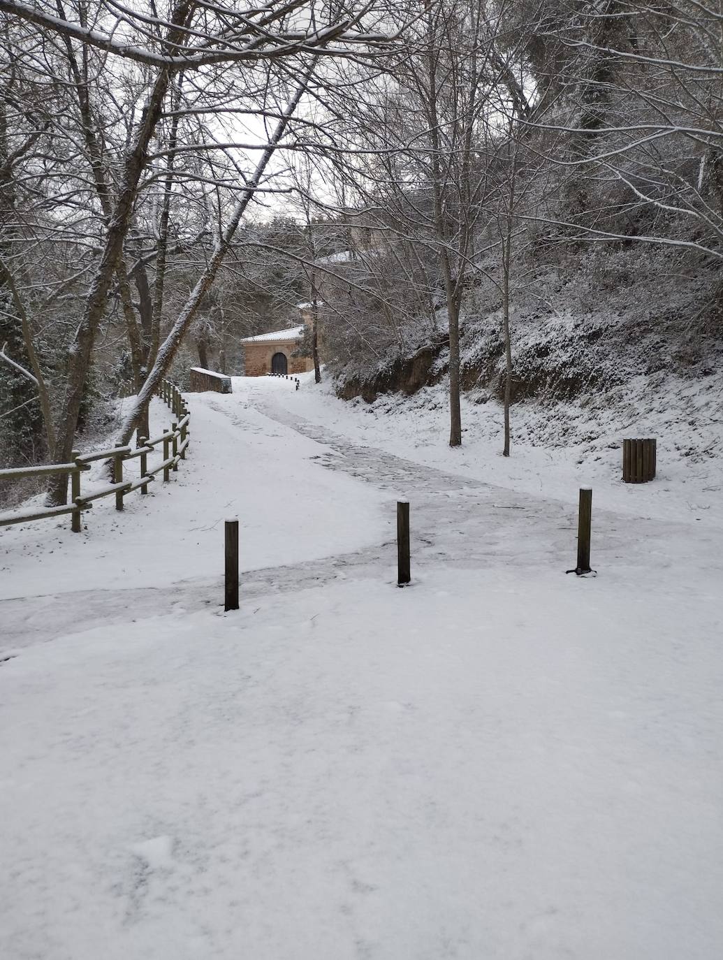 Fotos: La nieve y el hielo llegan a La Rioja