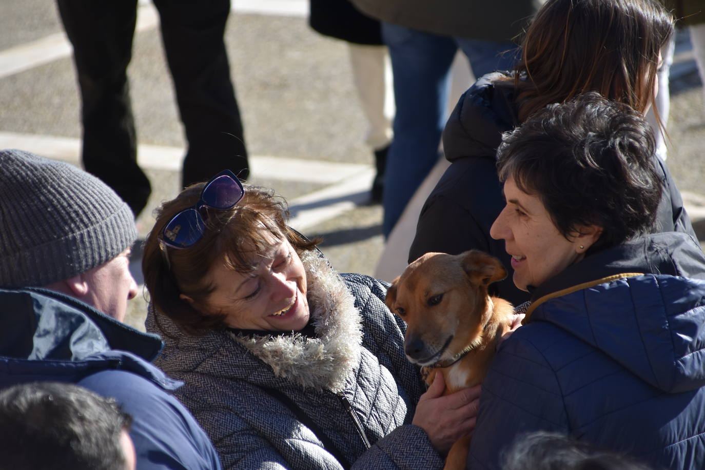 Fotos: Actos de San Antón en Calahorra
