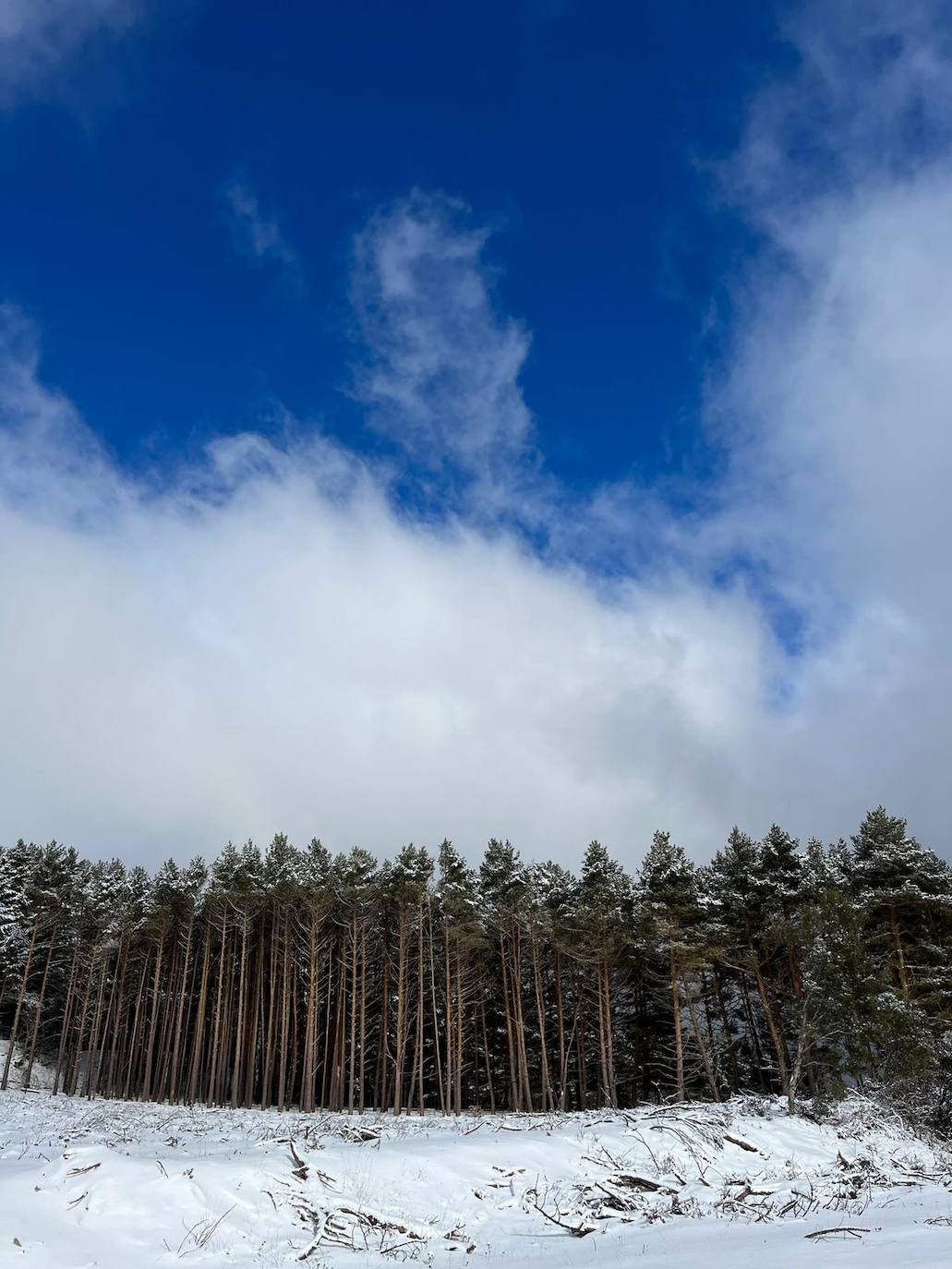 Fotos: Nieve en Ortigosa y El Rasillo