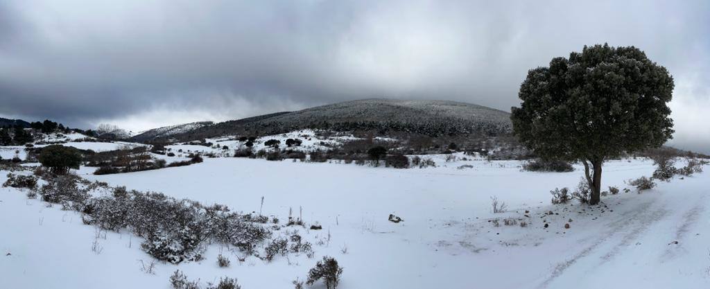 Fotos: Nieve en Ortigosa y El Rasillo