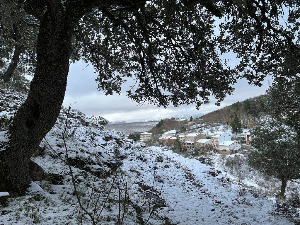 Fotos: Nieve en Ortigosa y El Rasillo