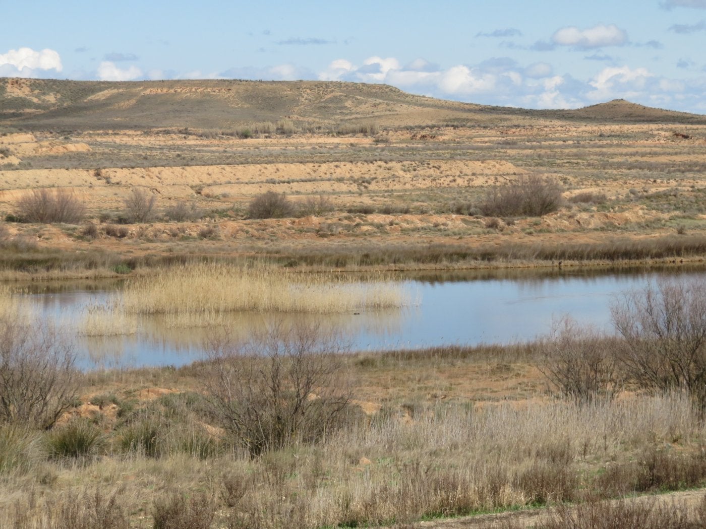 El aumento de su dique expandirá la lámina de agua de la laguna. 