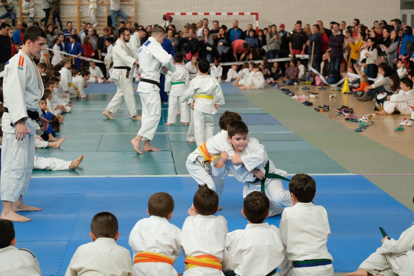 Imagen de una jornada de judo de temporadas pasadas. 