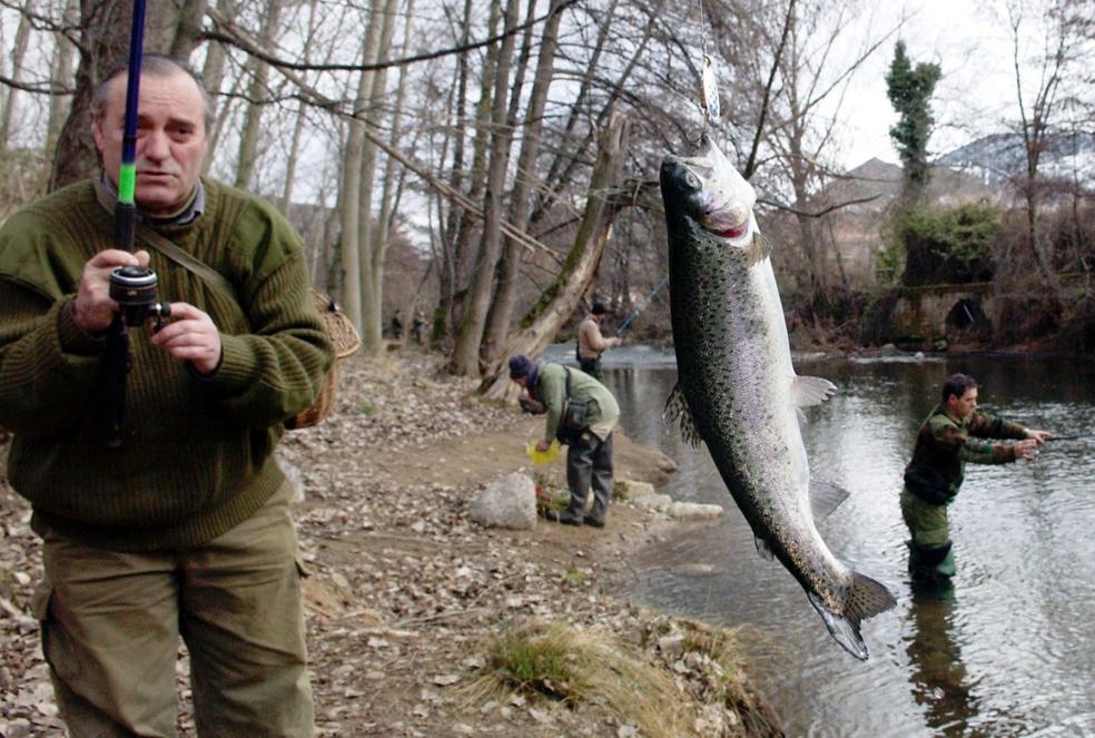 Un pescador captura una trucha en el río Iregua, en el tramo del término municipal de Viguera. 