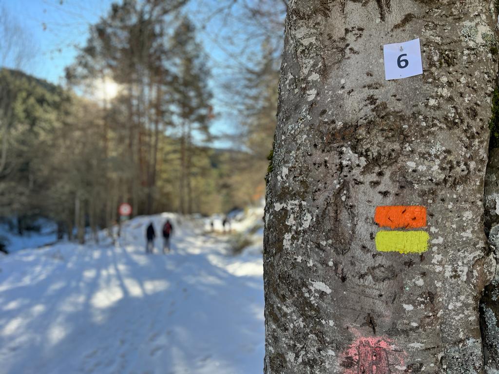 Fotos: Las bellas estampas que dejan el hielo y la nieve en Puente Ra