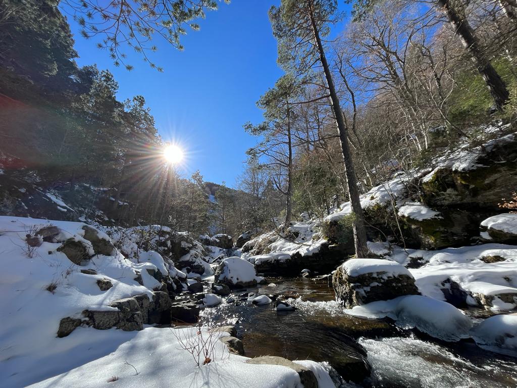 Fotos: Las bellas estampas que dejan el hielo y la nieve en Puente Ra