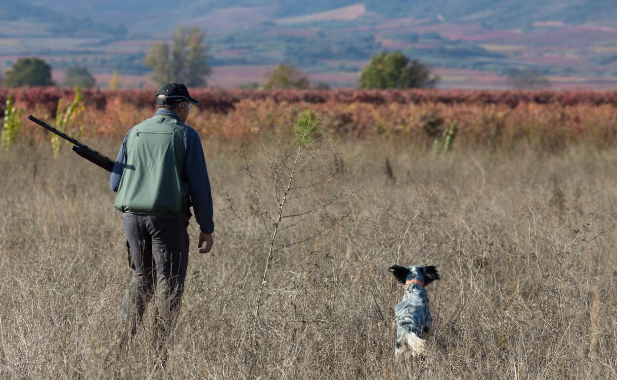 Un cazador con su perro durante una jornada en el coto de Navarrete. 