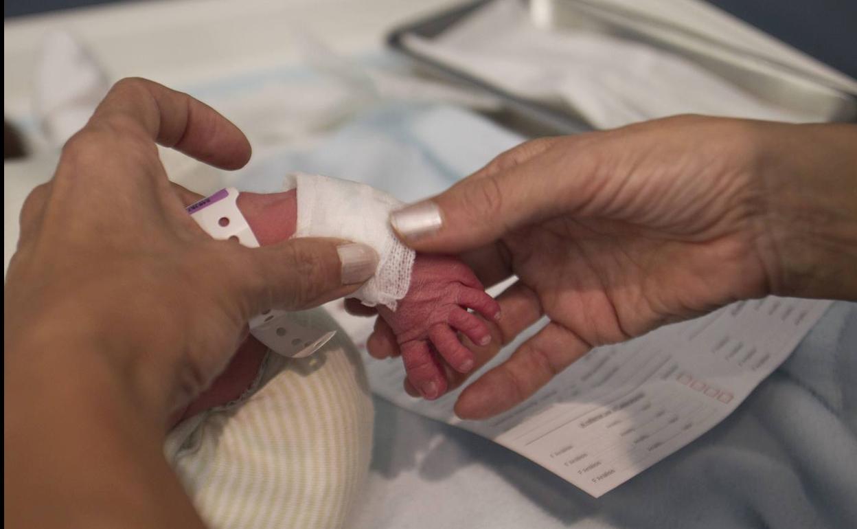 Prueba del talón a un recién nacido. 