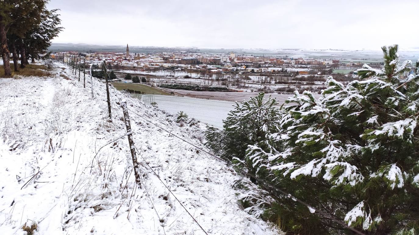 Santo Domingo de la Calzada