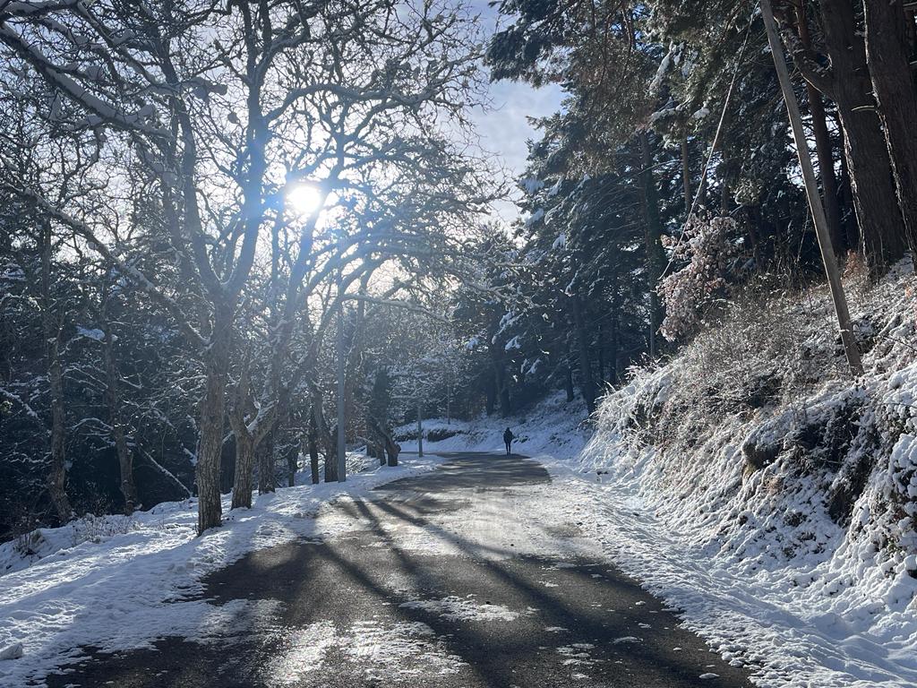 Fotos: La nieve deja blancos los montes de El Rasillo y Ortigosa