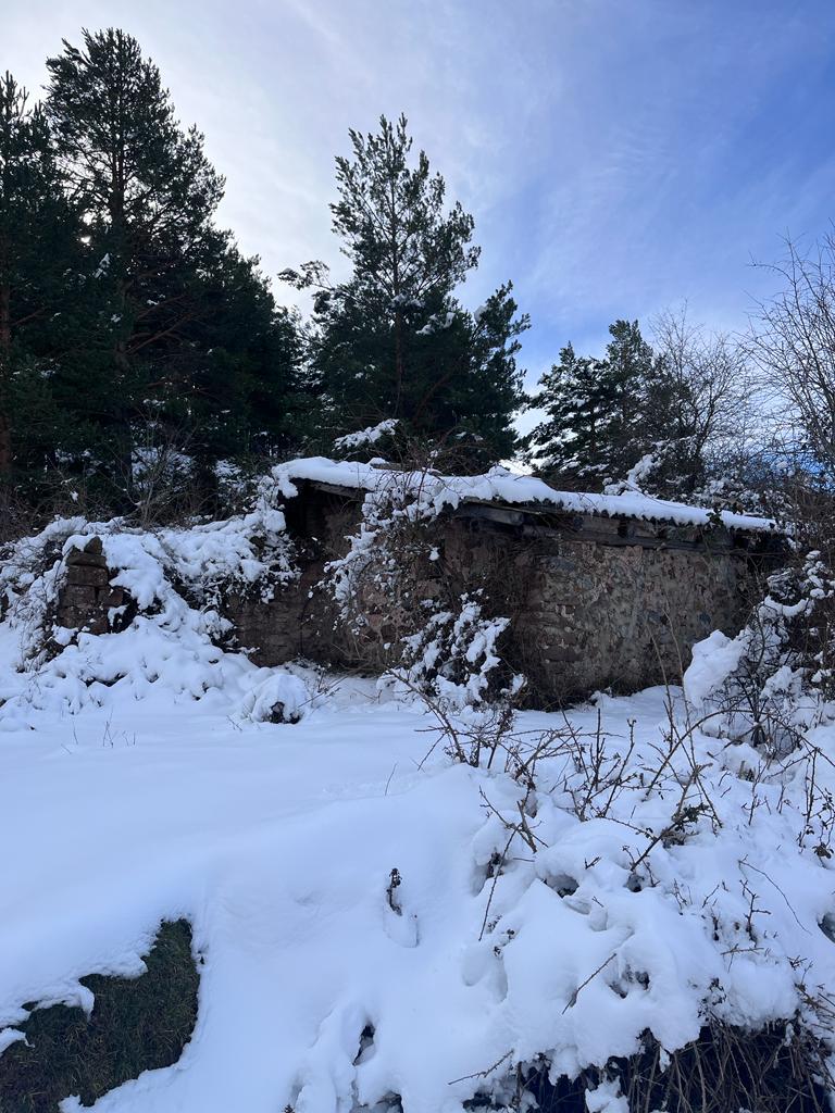 Fotos: La nieve deja blancos los montes de El Rasillo y Ortigosa