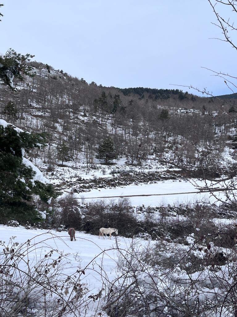Fotos: La nieve deja blancos los montes de El Rasillo y Ortigosa