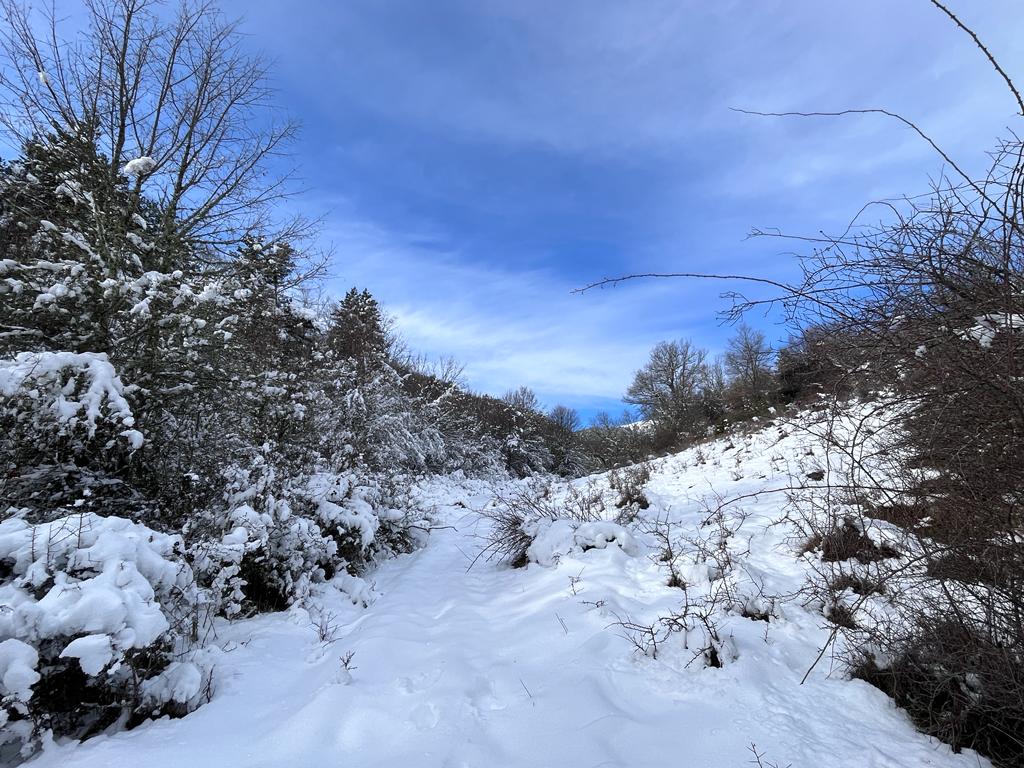 Fotos: La nieve deja blancos los montes de El Rasillo y Ortigosa