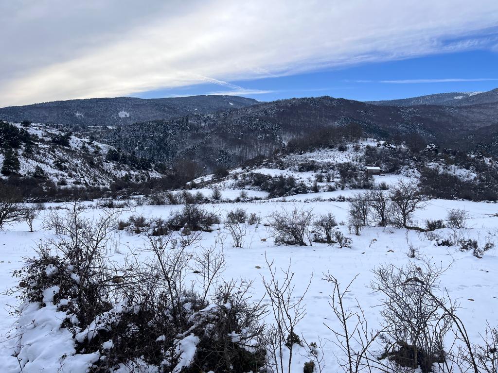 Fotos: La nieve deja blancos los montes de El Rasillo y Ortigosa