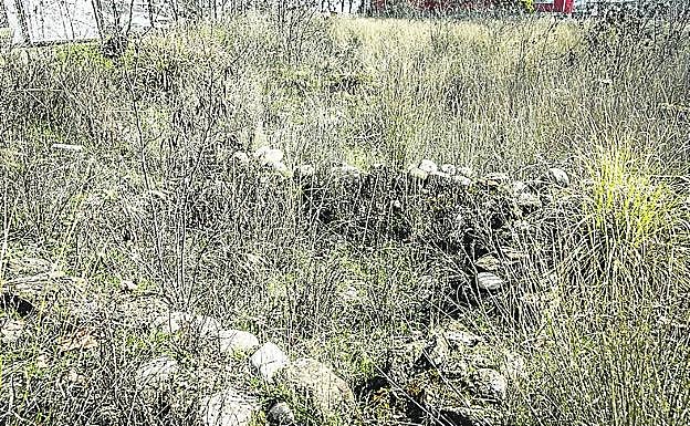 Una de las distintas estancias que se aprecian en el solar. 