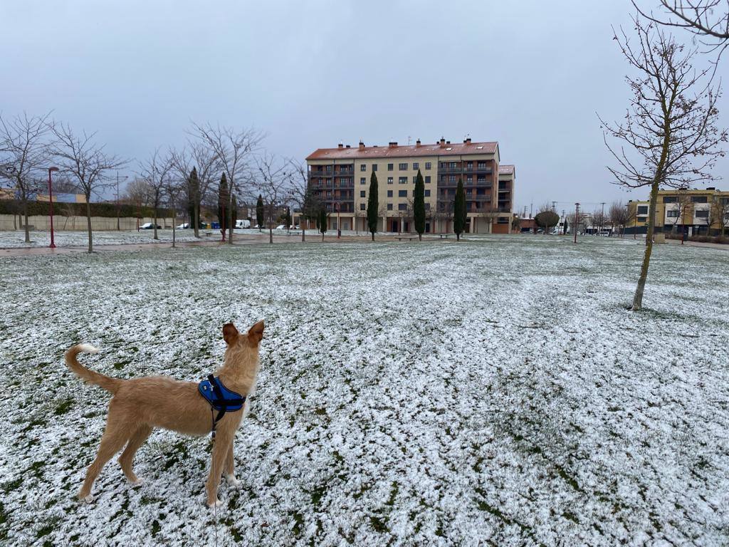 Fotos: Calahorra, epicentro de la nevada en el valle del Ebro