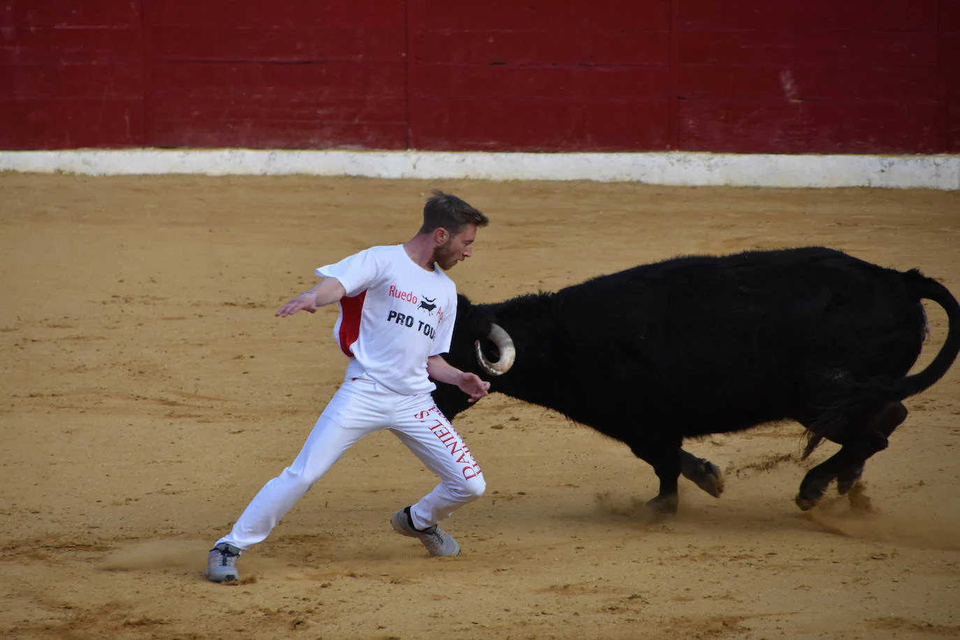 Fotos: Gigantes, cabezudos y recortadores para el cierre de fiestas de Calahorra