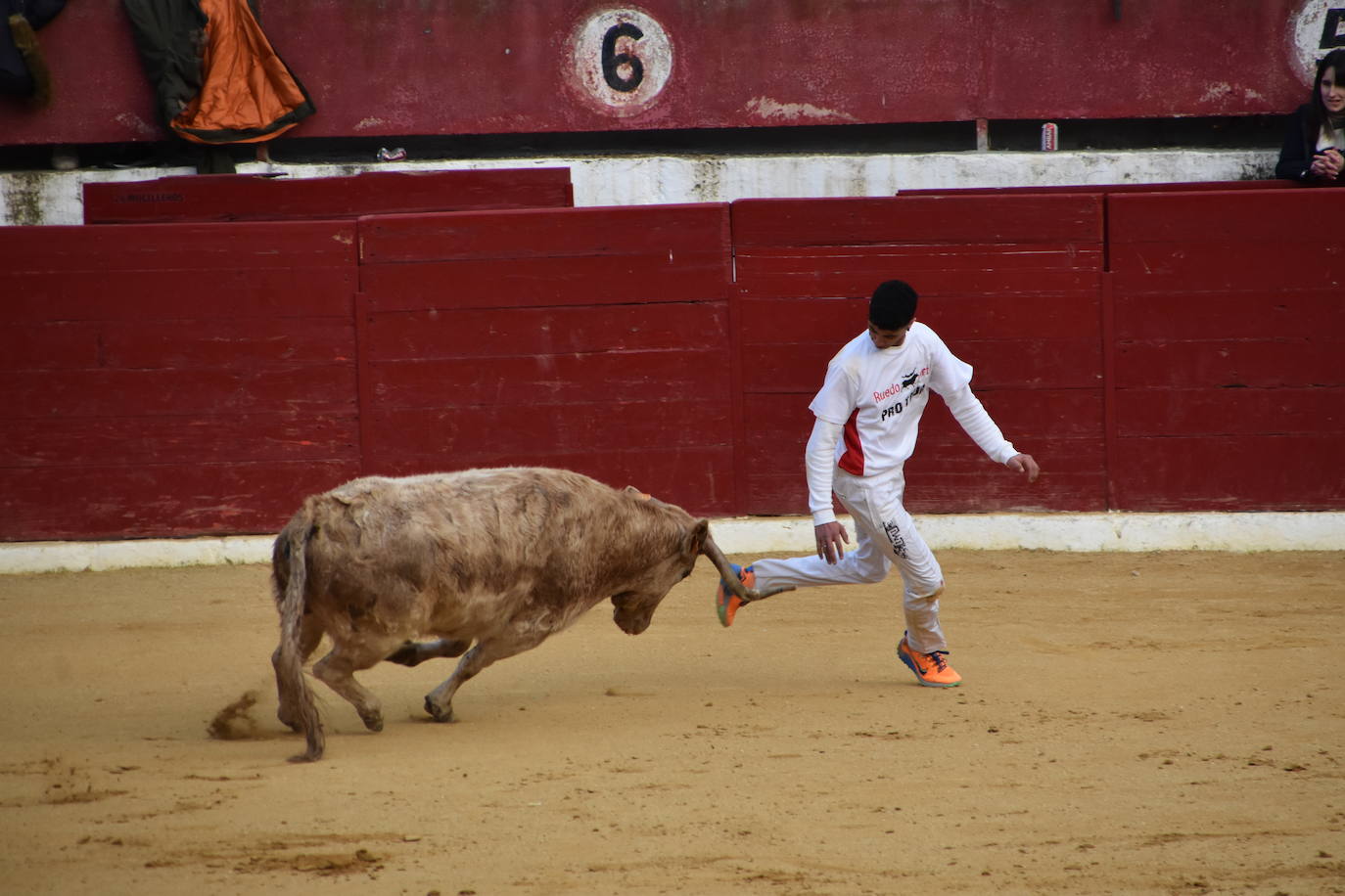 Fotos: Gigantes, cabezudos y recortadores para el cierre de fiestas de Calahorra