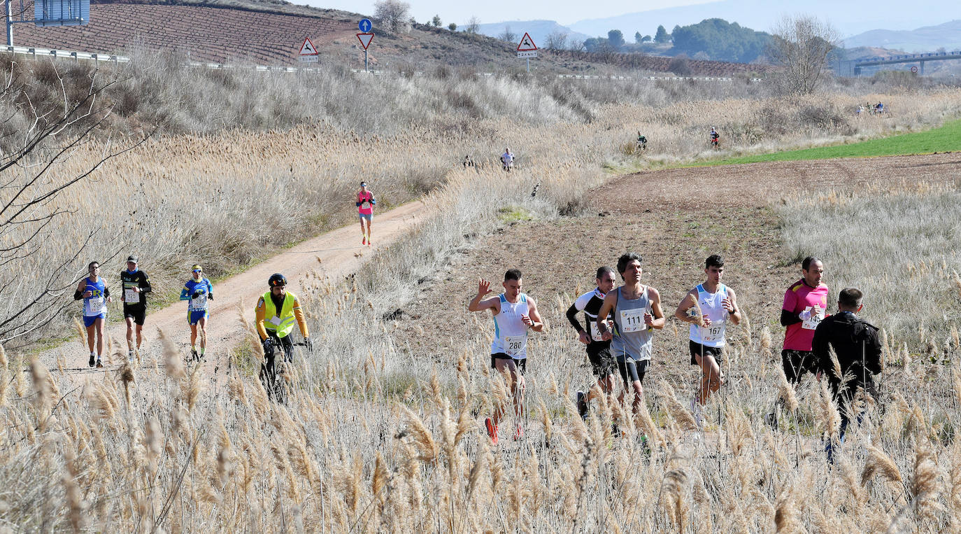 Fotos: El najerino David Martínez se impone en la Media Maratón del Camino