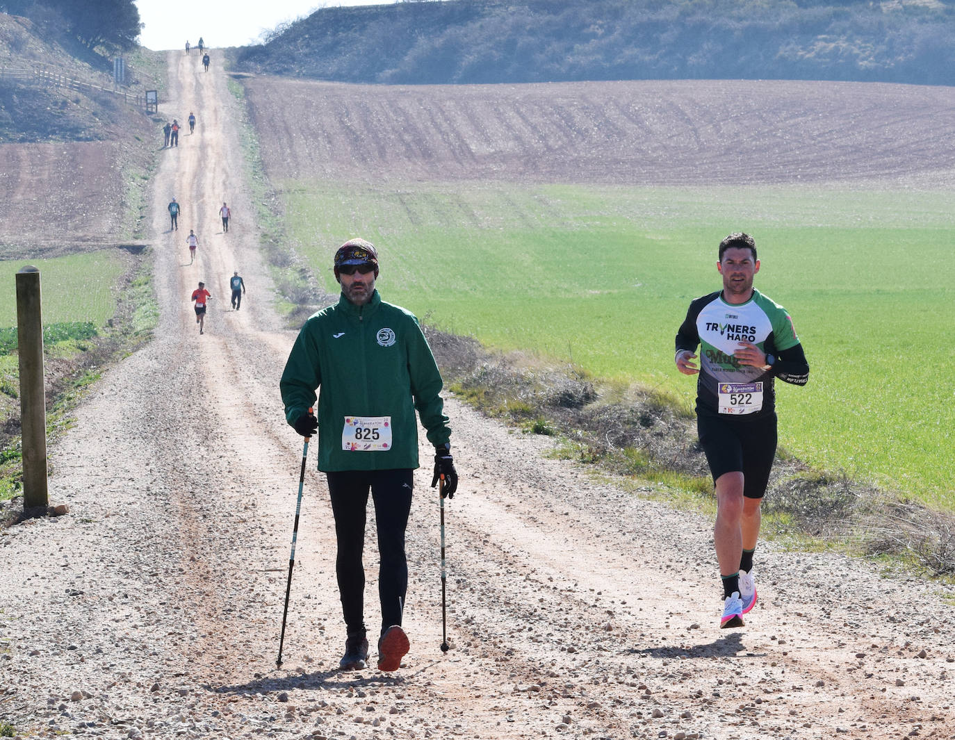 Fotos: El najerino David Martínez se impone en la Media Maratón del Camino