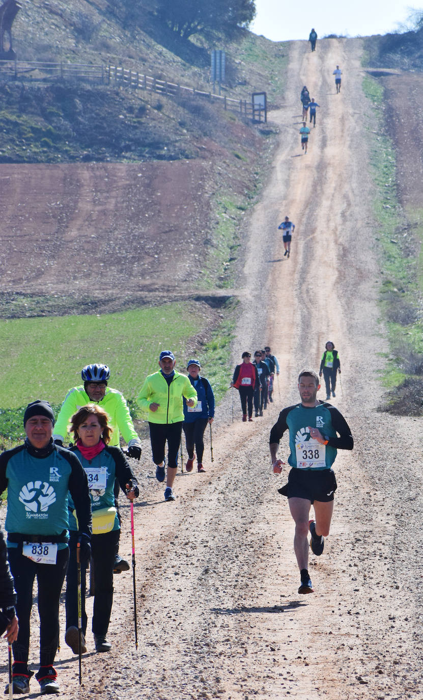 Fotos: El najerino David Martínez se impone en la Media Maratón del Camino