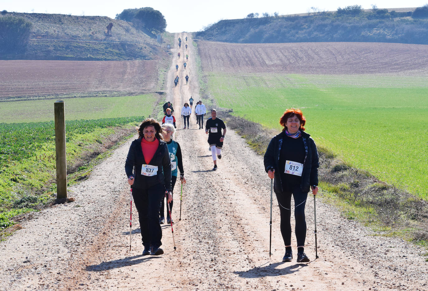 Fotos: El najerino David Martínez se impone en la Media Maratón del Camino