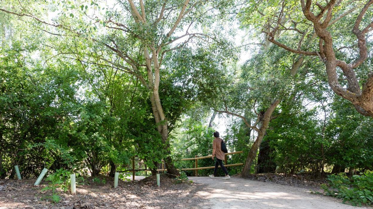 'La primavera trompetera' en el Aula de La Grajera