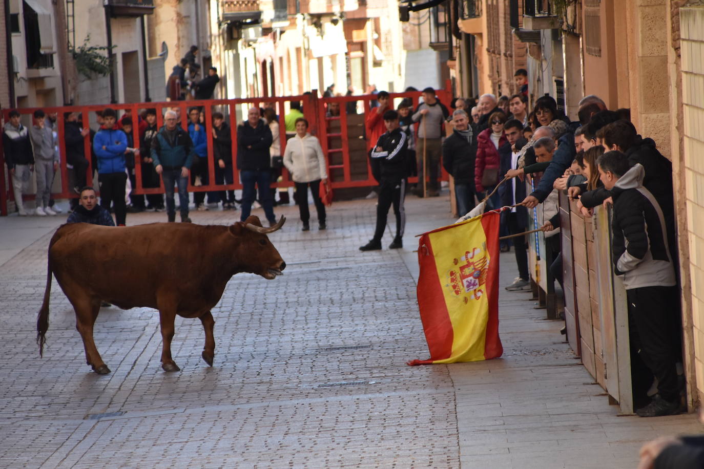 Encierro en Aldeanueva de Ebro