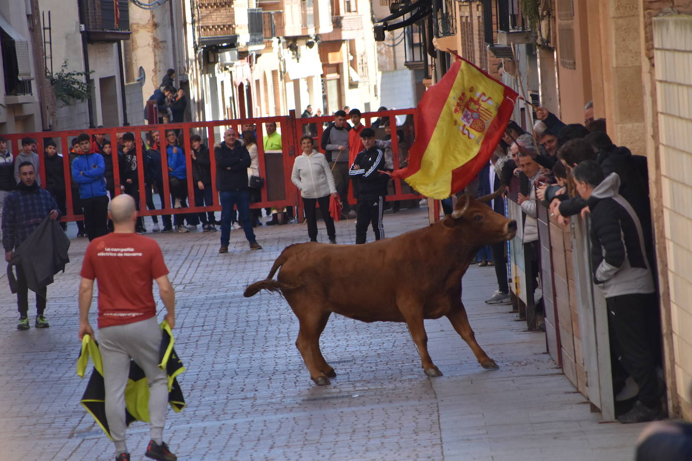Encierro en Aldeanueva de Ebro