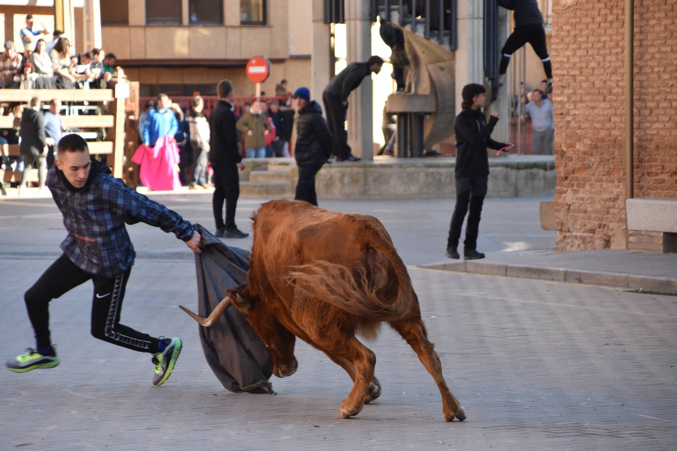 Encierro en Aldeanueva de Ebro