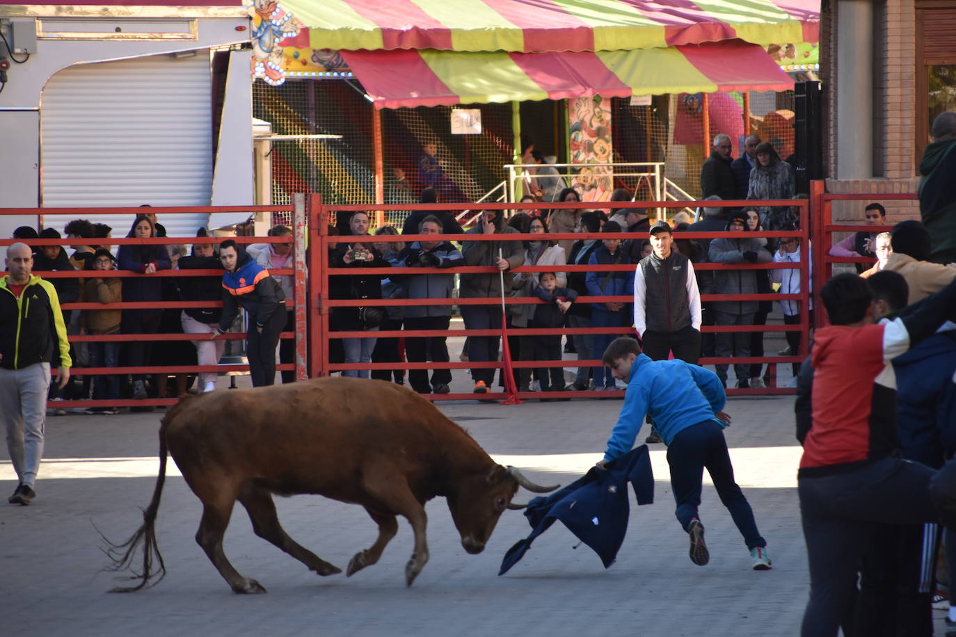 Encierro en Aldeanueva de Ebro