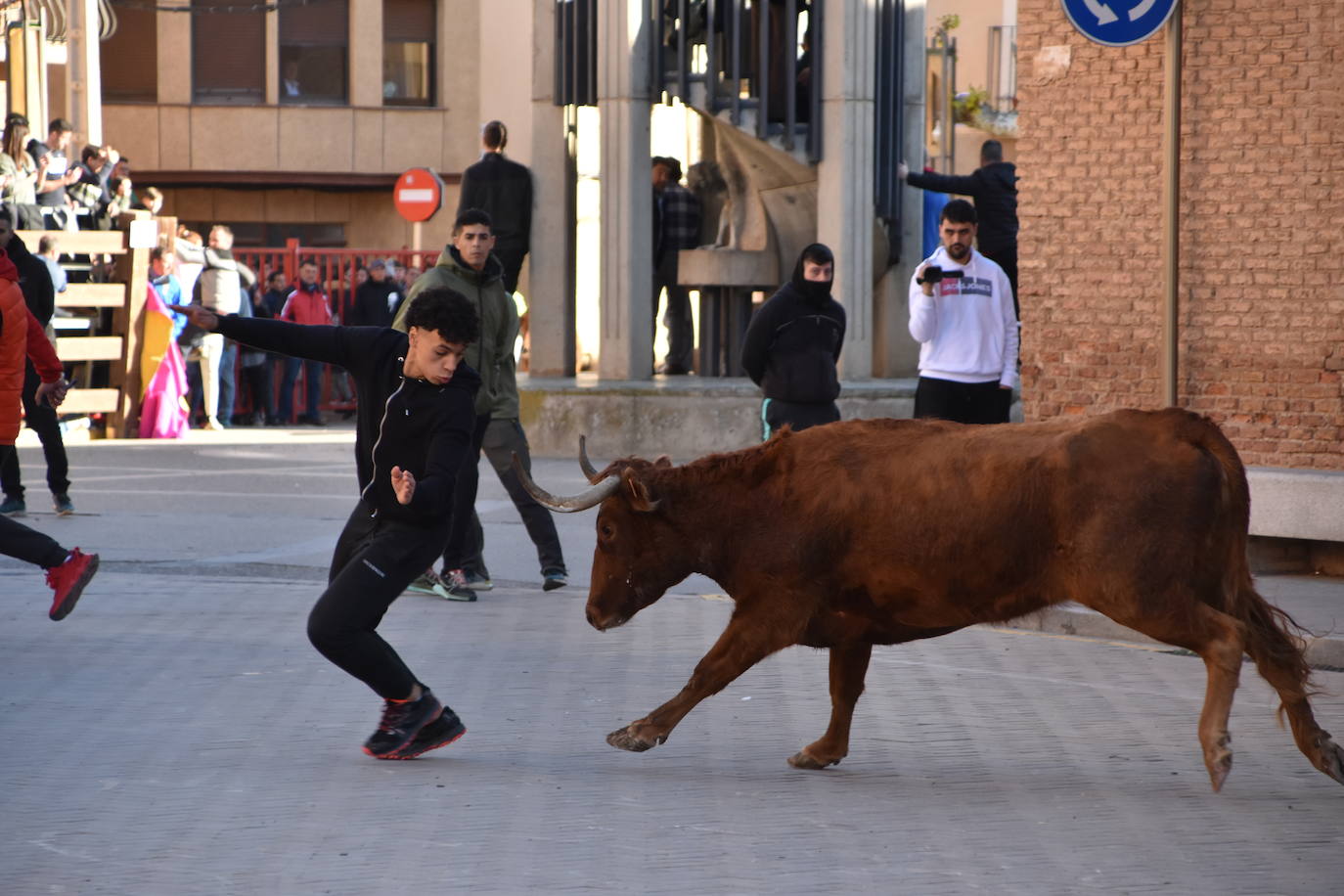 Encierro en Aldeanueva de Ebro