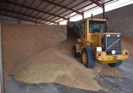 Almacén de cereal de la cooperativa Garu en Ausejo.