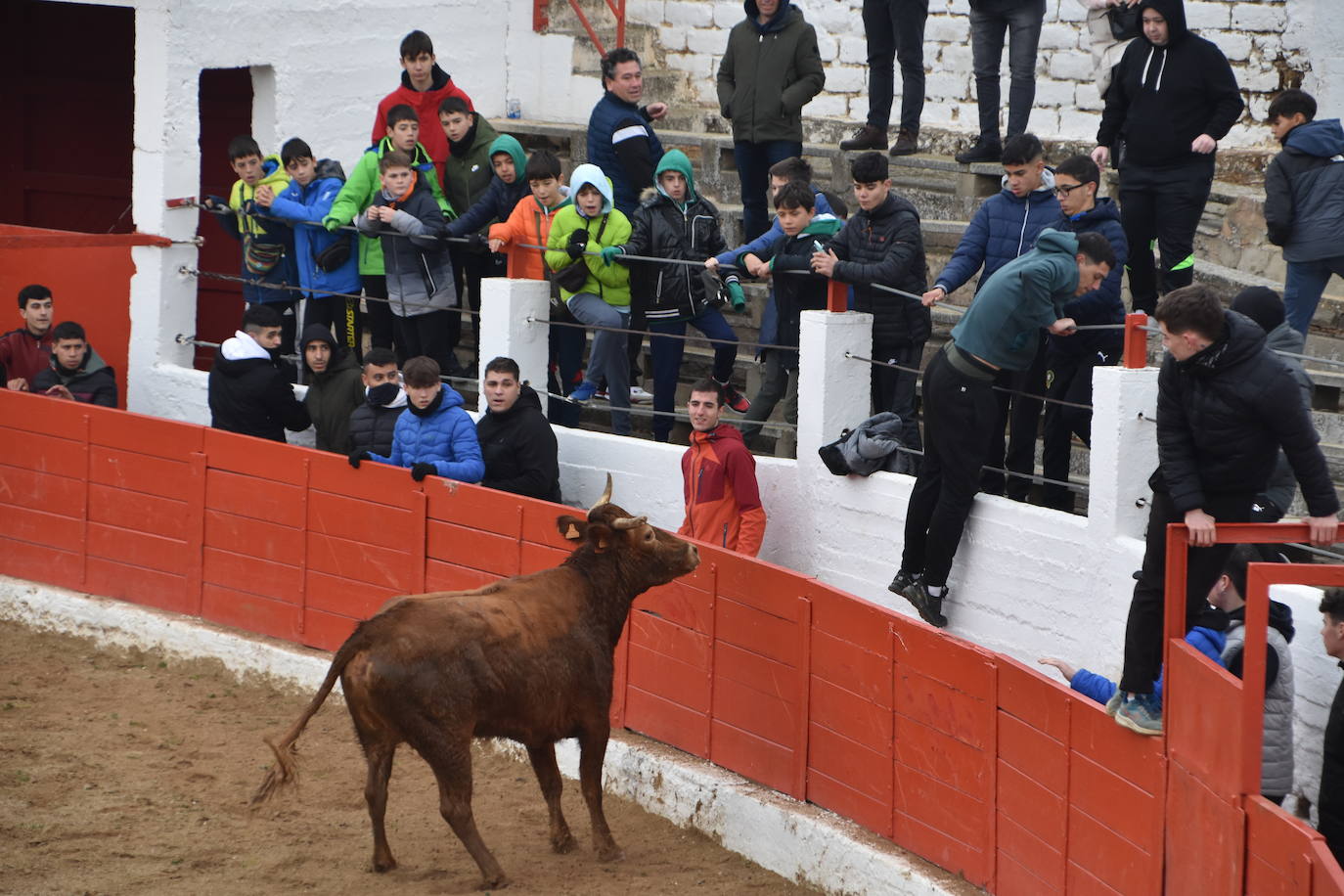 Las fiestas de invierno de Aldeanueva, en imágenes