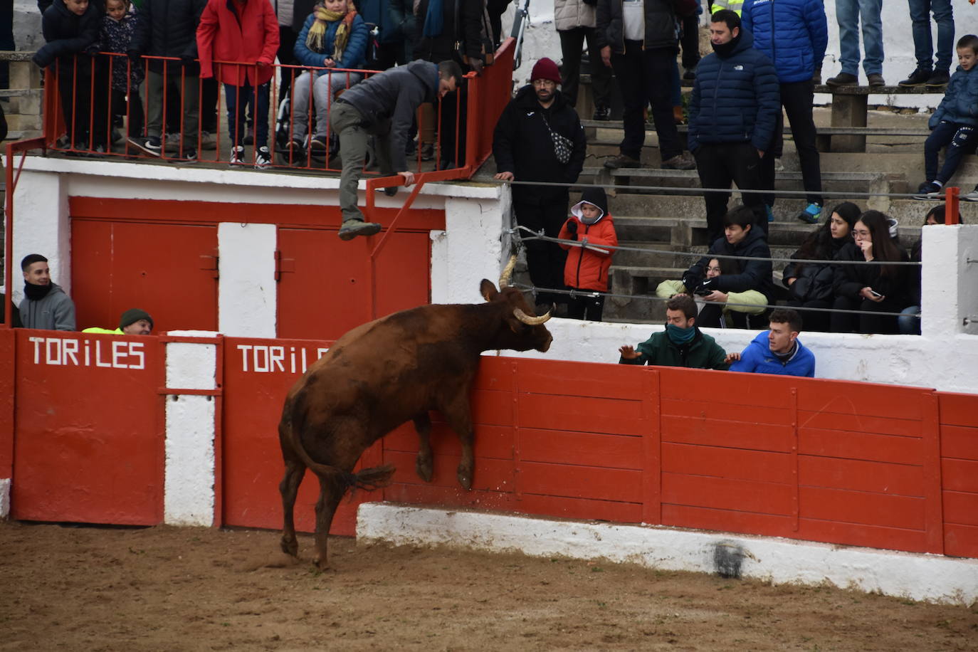 Las fiestas de invierno de Aldeanueva, en imágenes